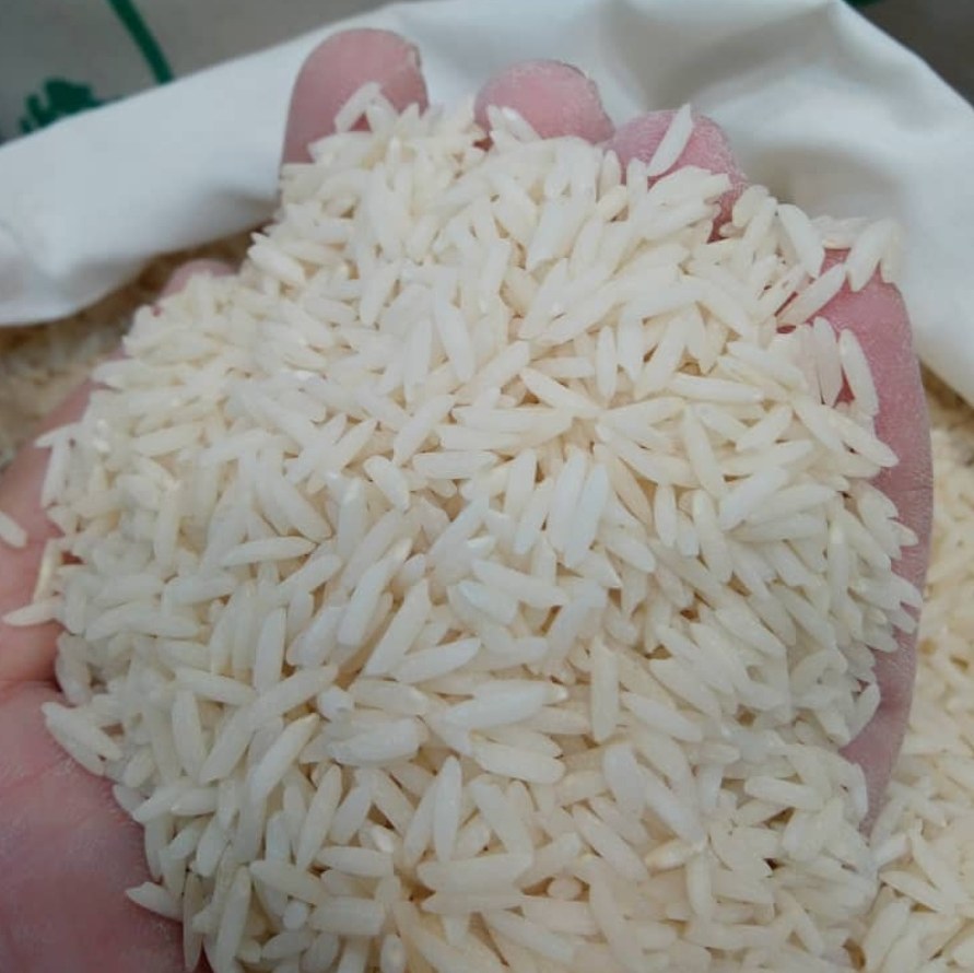 برنج هاشمی 