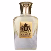 ادو پرفیوم مردانه کنتیننتال مدل آلفا مونته حجم 120 میلی لیتر