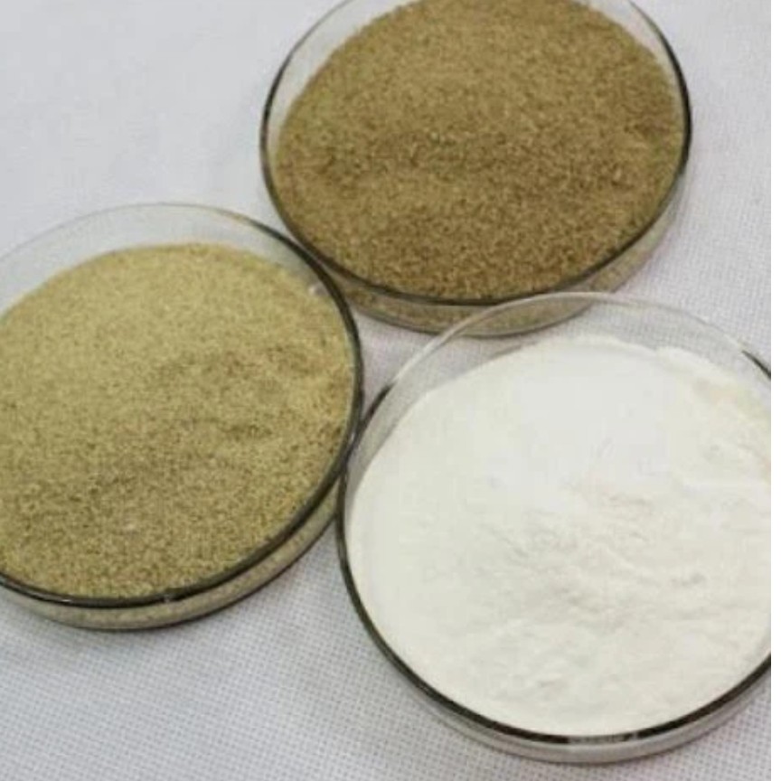 آنزیم آمیلاز مالتوژنیک یک کیلویی انزیم امیلاز مالتوژنیک یک کیلویی 