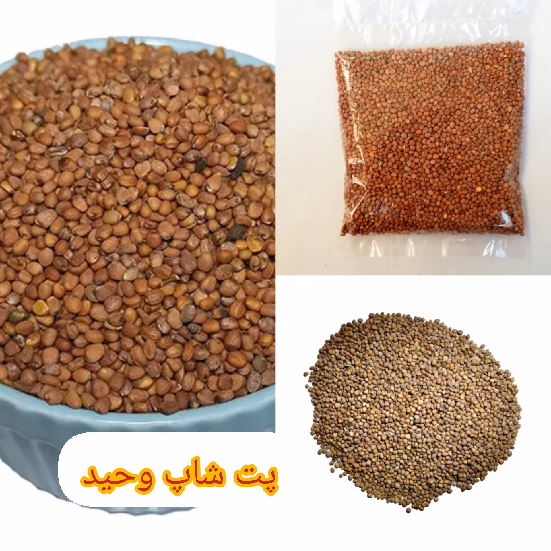 تخم ترب درجه یک250گرمی