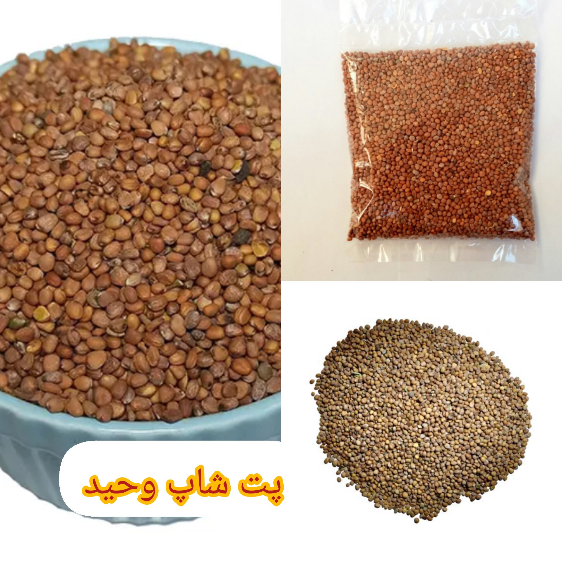 تخم ترب درجه یک250گرمی