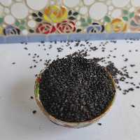 تخم شربتی ریز (100گرمی)