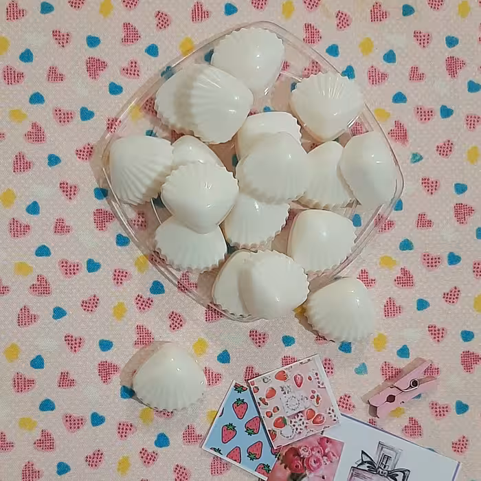 صابون صدف معطر جیبی مناسب  گیفت آموزشی حرف ص برای دانش آموزان و کلاس اولی  هاو گیفت صابونی جشن الفبا و صاد  و گیفت عروسی