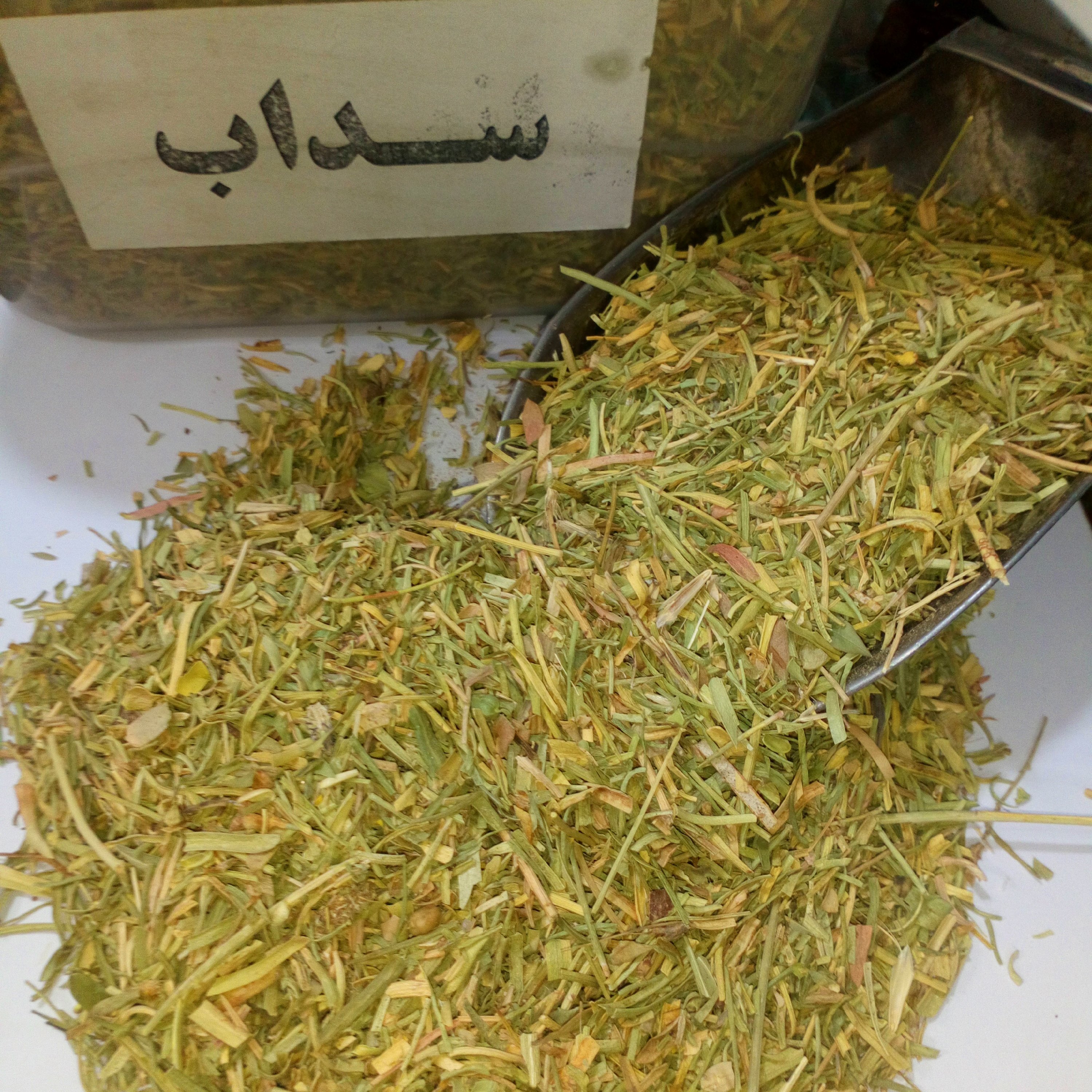 برگ سداب (فیجن)