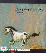 قیمت و خرید کتاب سرخپوست کوچولو و اسبش | ایده بوک
