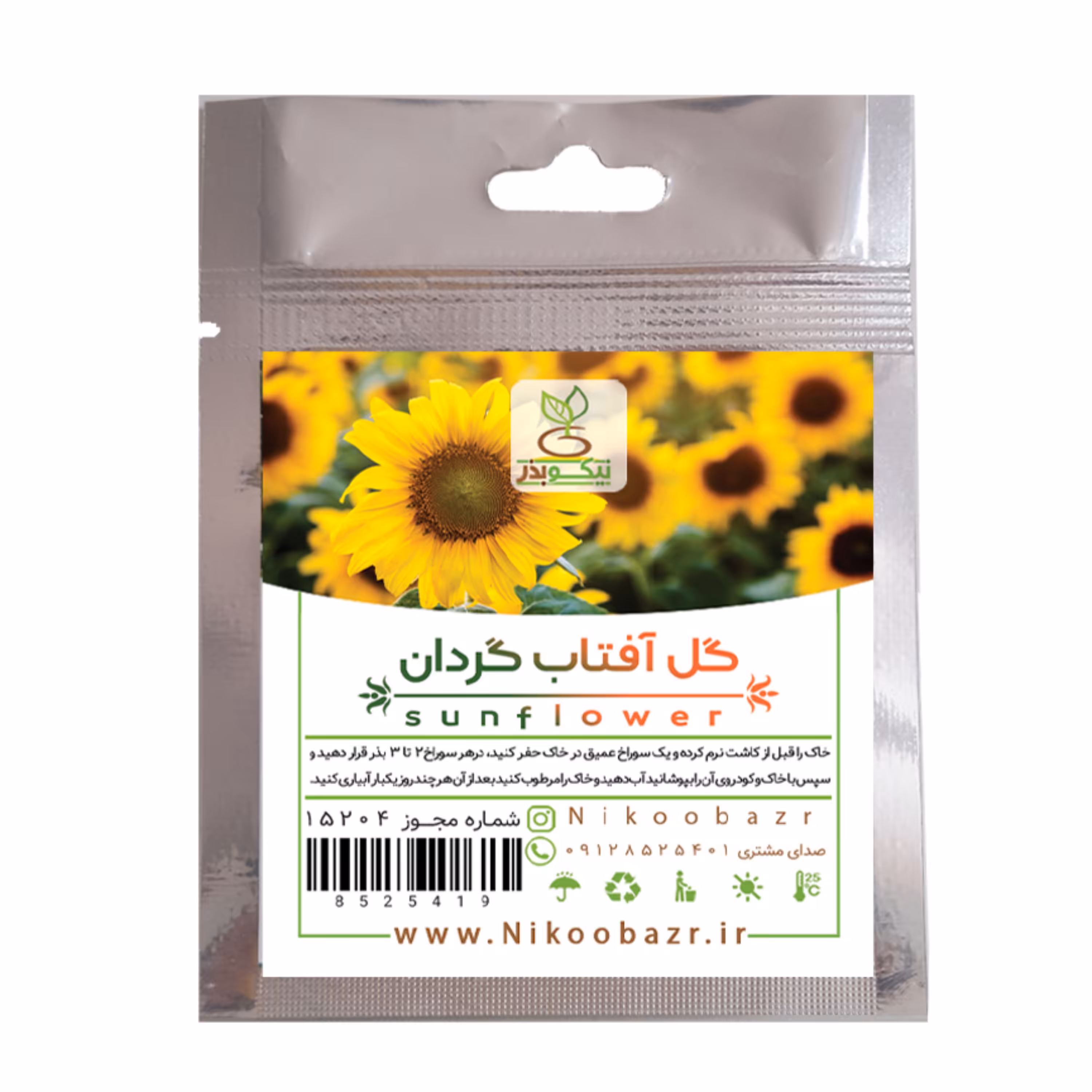 بذر گل آفتابگردان