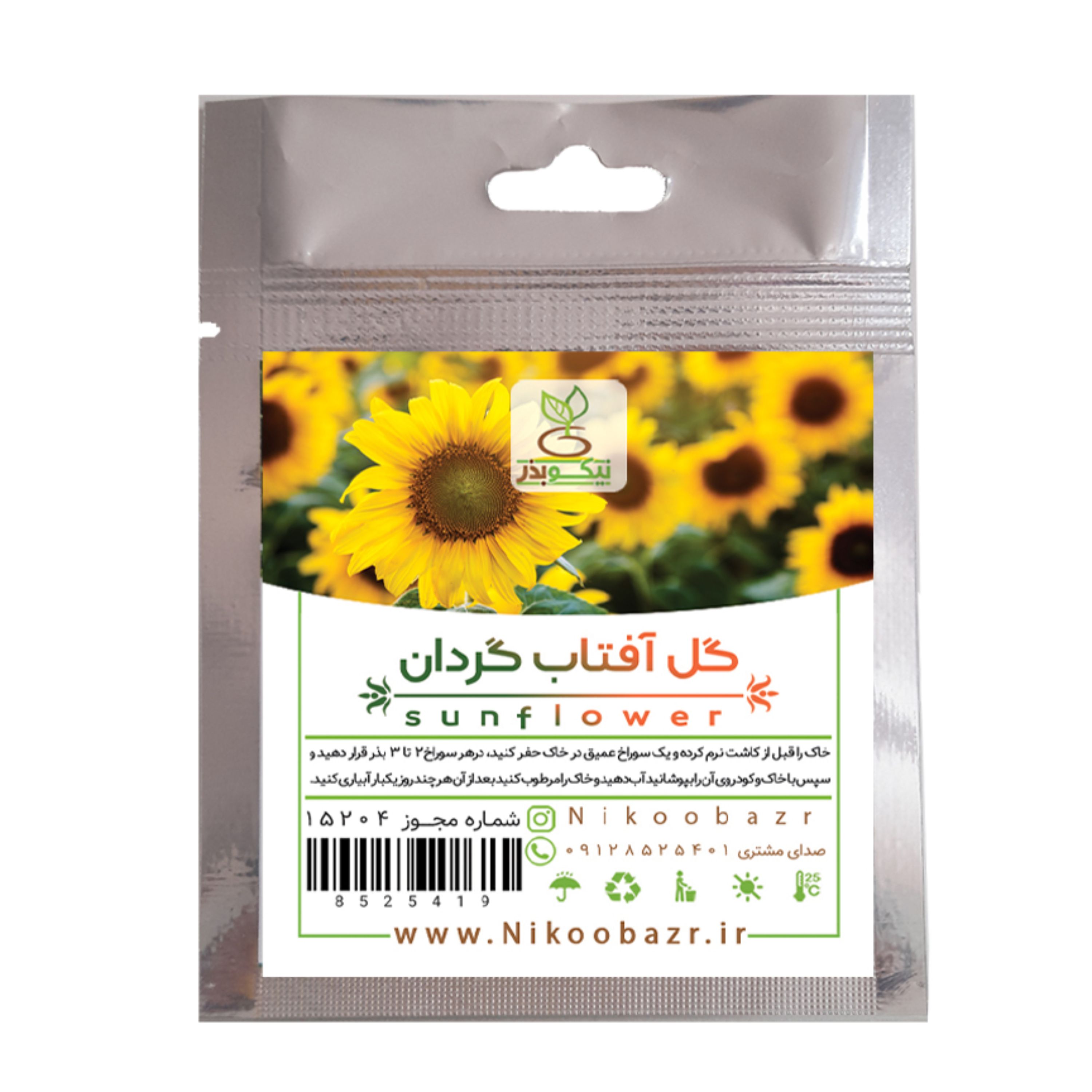 بذر گل آفتابگردان