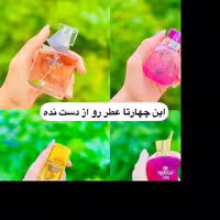 عطر  وارداتی اورجینال رایحه خنک و ملایم 25 میل marque collection لیانا شاپ