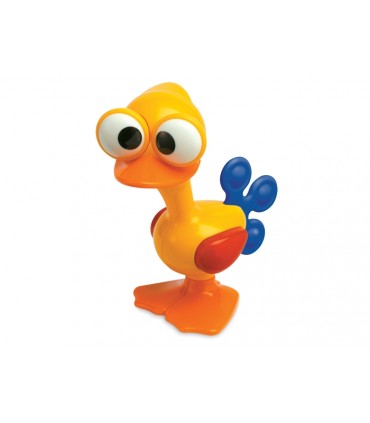 پرنده چشم گردون﻿ Tolo