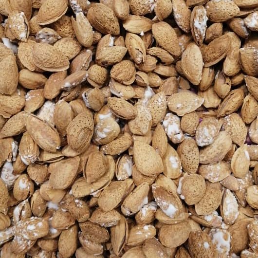 بادام درختی منقا،. بادام درختی پوست کاغذی با تفت عالی ( 800 گرم)