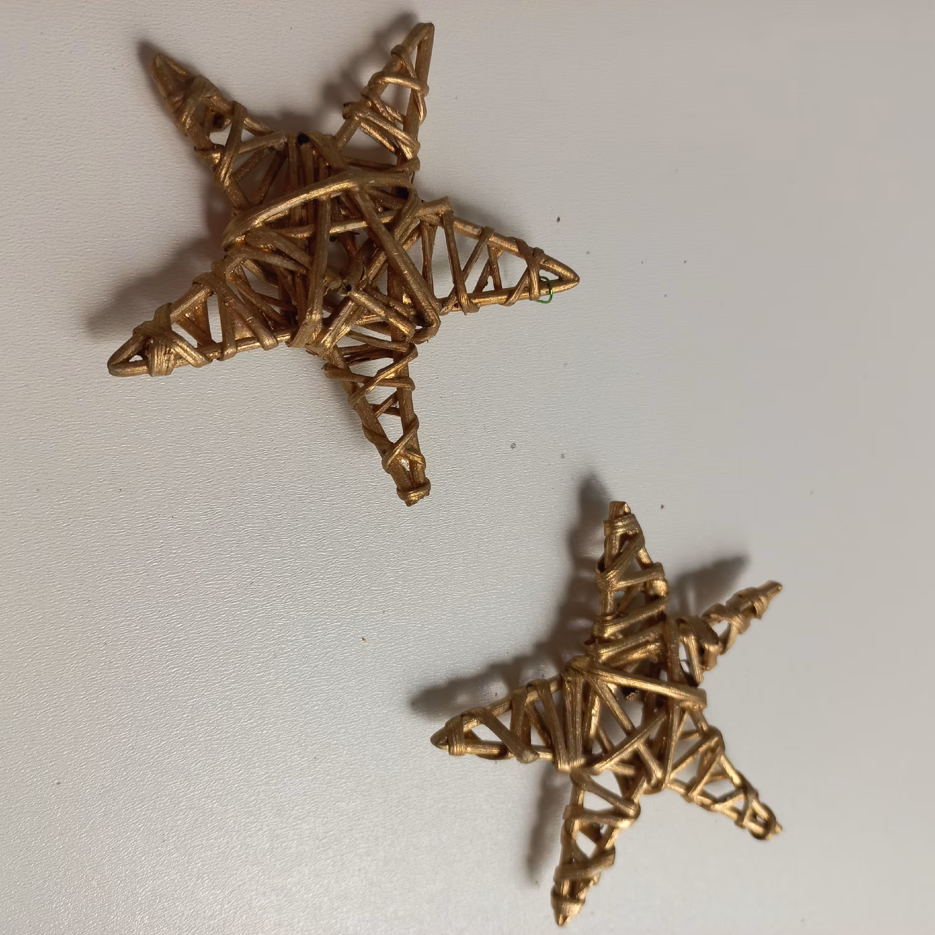 ستاره حصیری طلایی