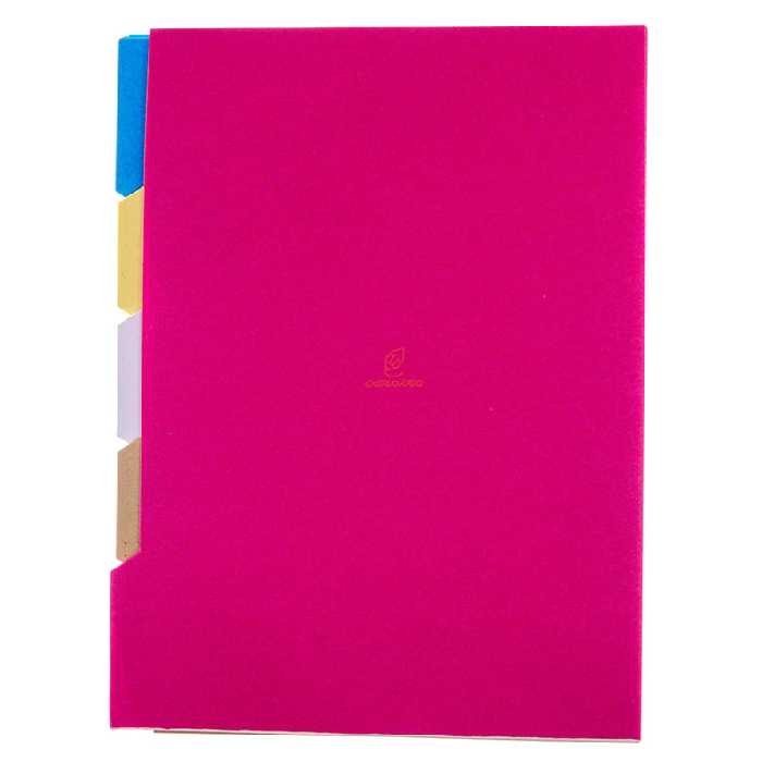 دیوایدر 5 رنگ بسته 100 عددی