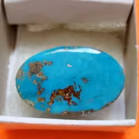 فیروزه شجر نیشابور