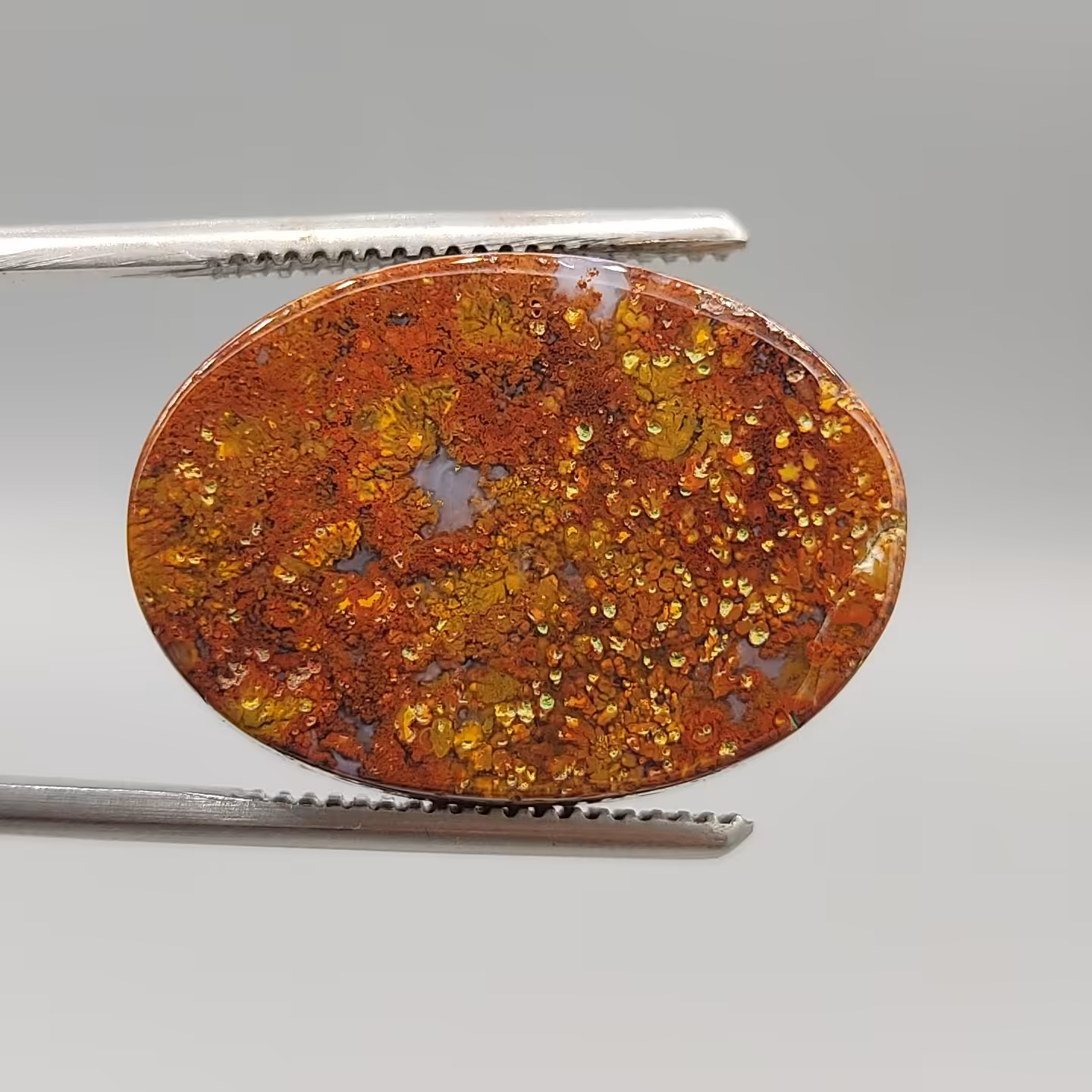 جاسپر فوق العاده زیبا و لکه دار 