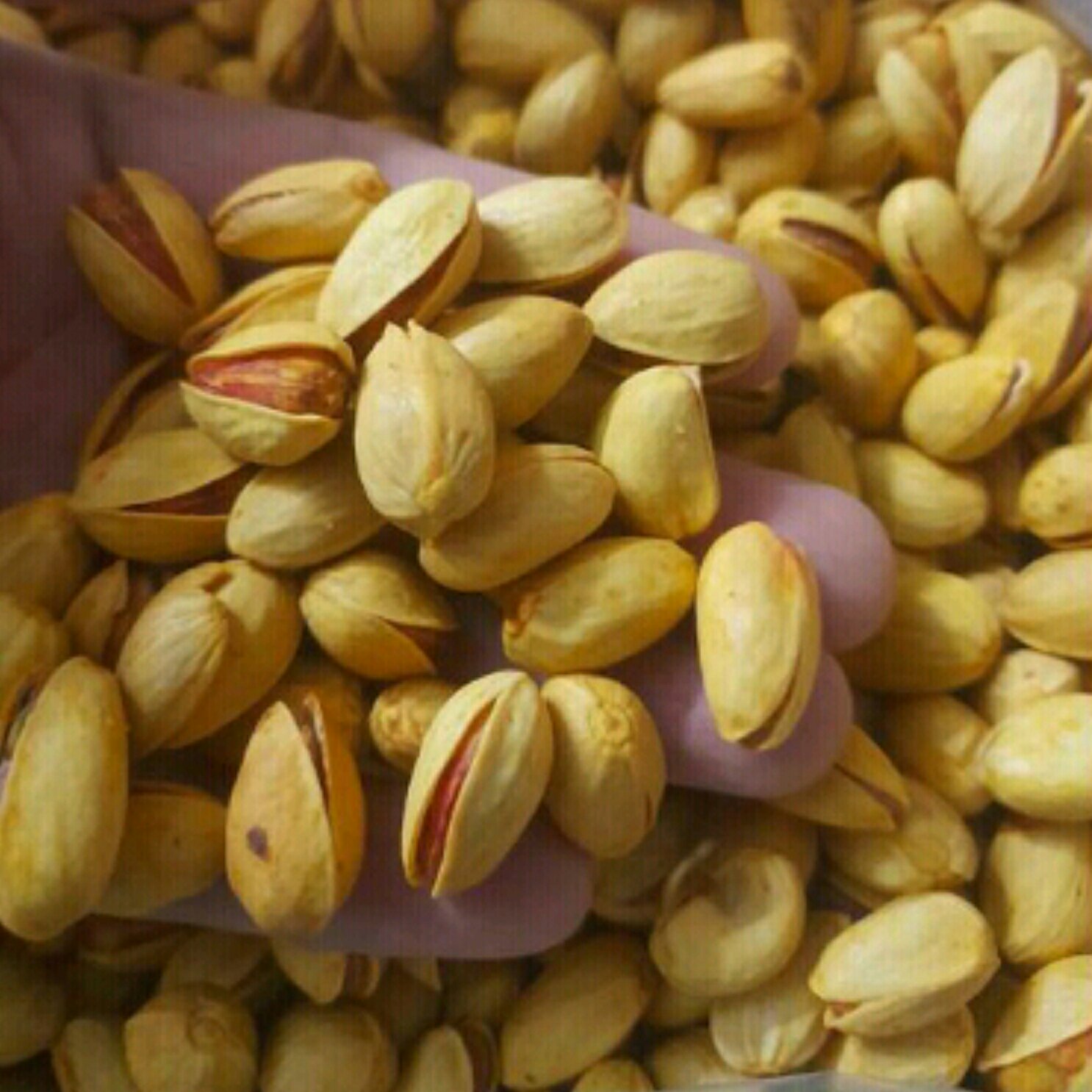 پسته اکبری - 100 گرمی