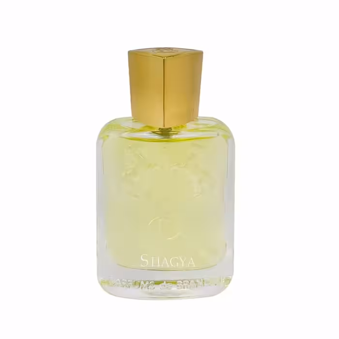 عطر ادکلن شاگیا مردانه برندینی مشابه عطر  د مارلی شَگیا Shagya

