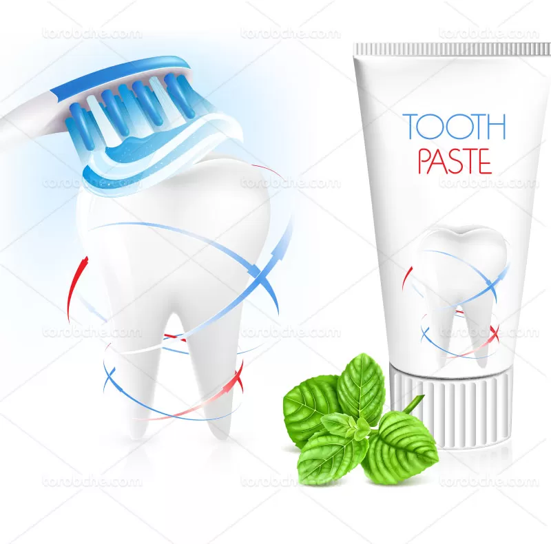 وکتور خمیر دندان | گرافیک با طعم تربچه
