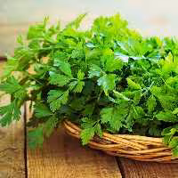 جعفری خشک  اعلاء 250 گرمی