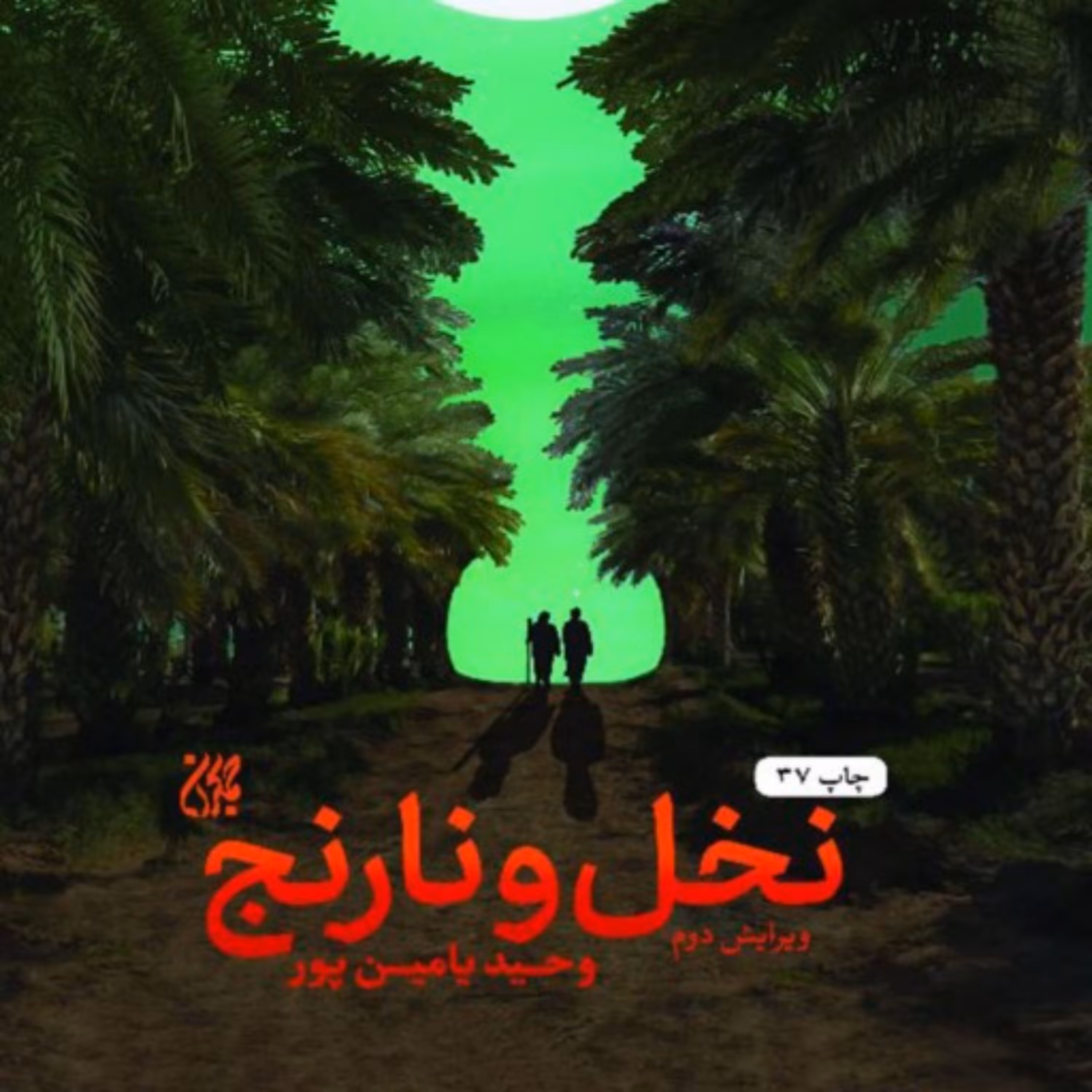 کتاب نخل و نارنج روایت داستانی زندگی شیخ مرتضی انصاری (ره) نوشته وحیدیامین پور