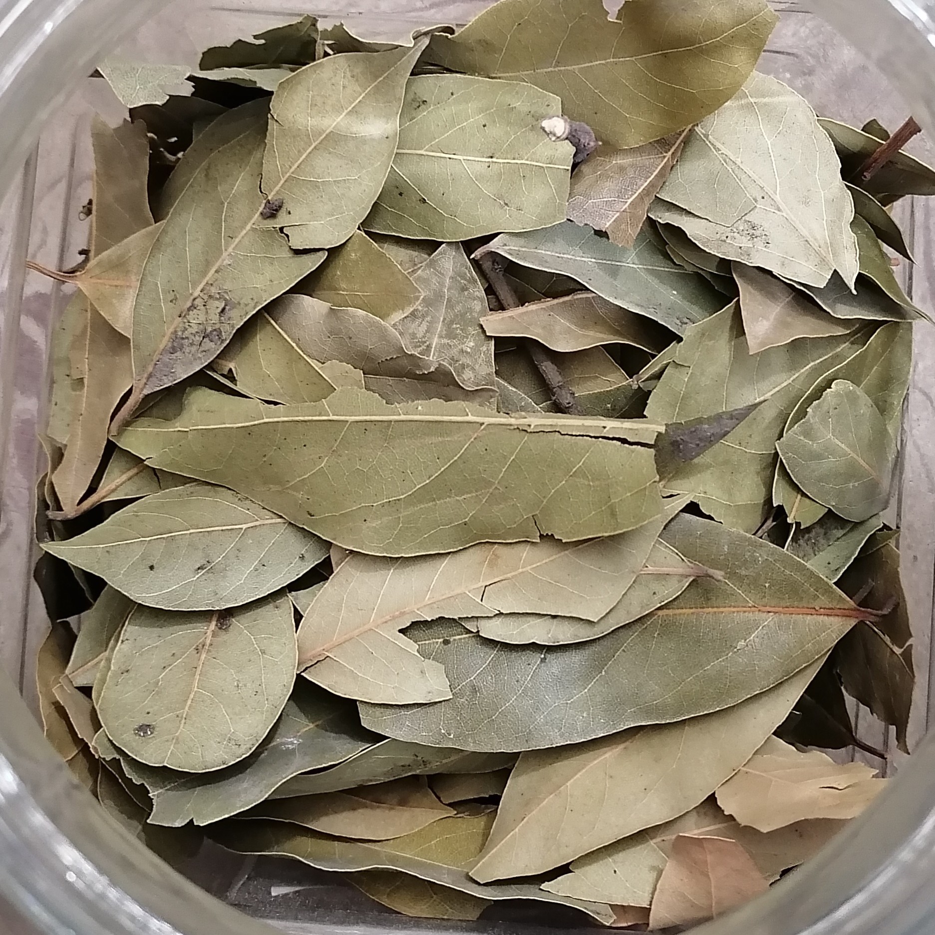 برگ بو 100 گرمی