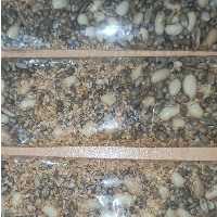 چهار مغز  تازه و پرانرژی (کنجد،آفتابگردان،شاهدانه و سویا ) بو داده در بسته بندی های پنجاه گرمی 