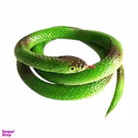 مار جادویی مدل بزرگ شونده DSK.SR