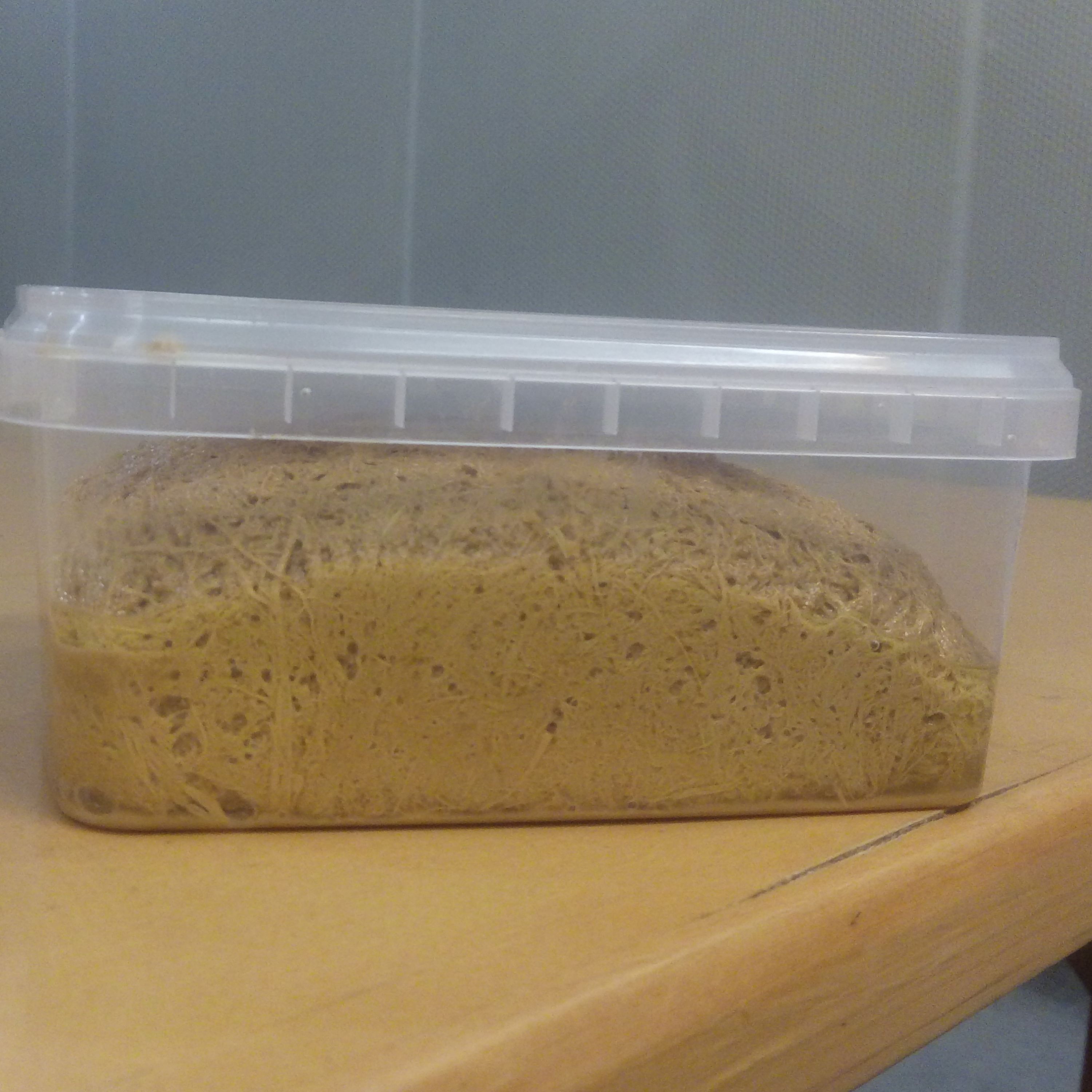 حلوا ارده با شیره خرما و کمی شکر (450 گرم)