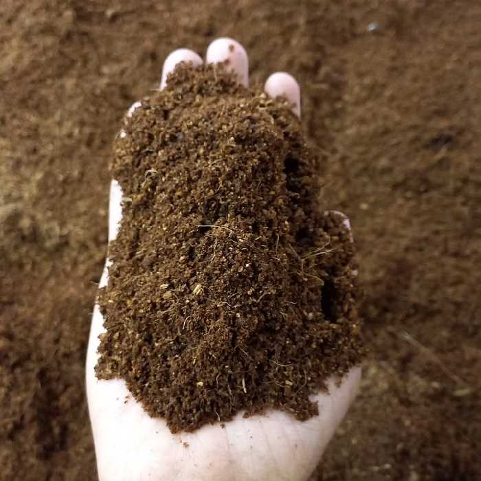 کوکوپیت سریلانکا 2 لیتری (پس کرایه)