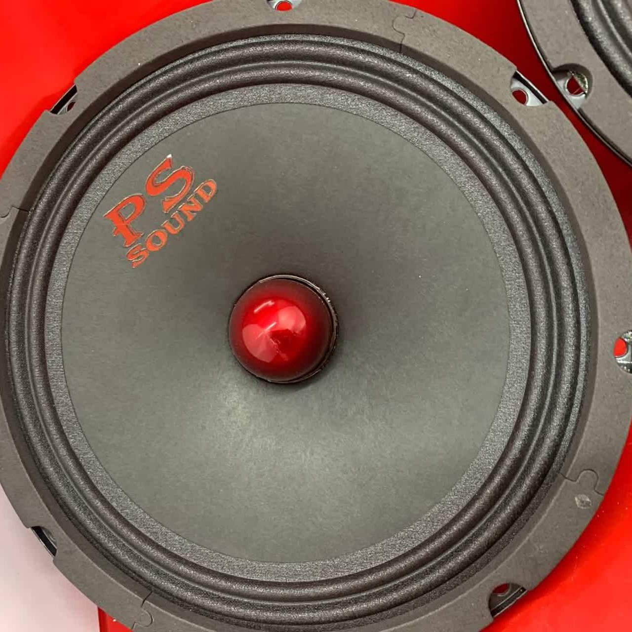 یک جفت میدرنج 8 اینچ پاورساند بولت فلزی ارسال تیپاکس پس کرایه