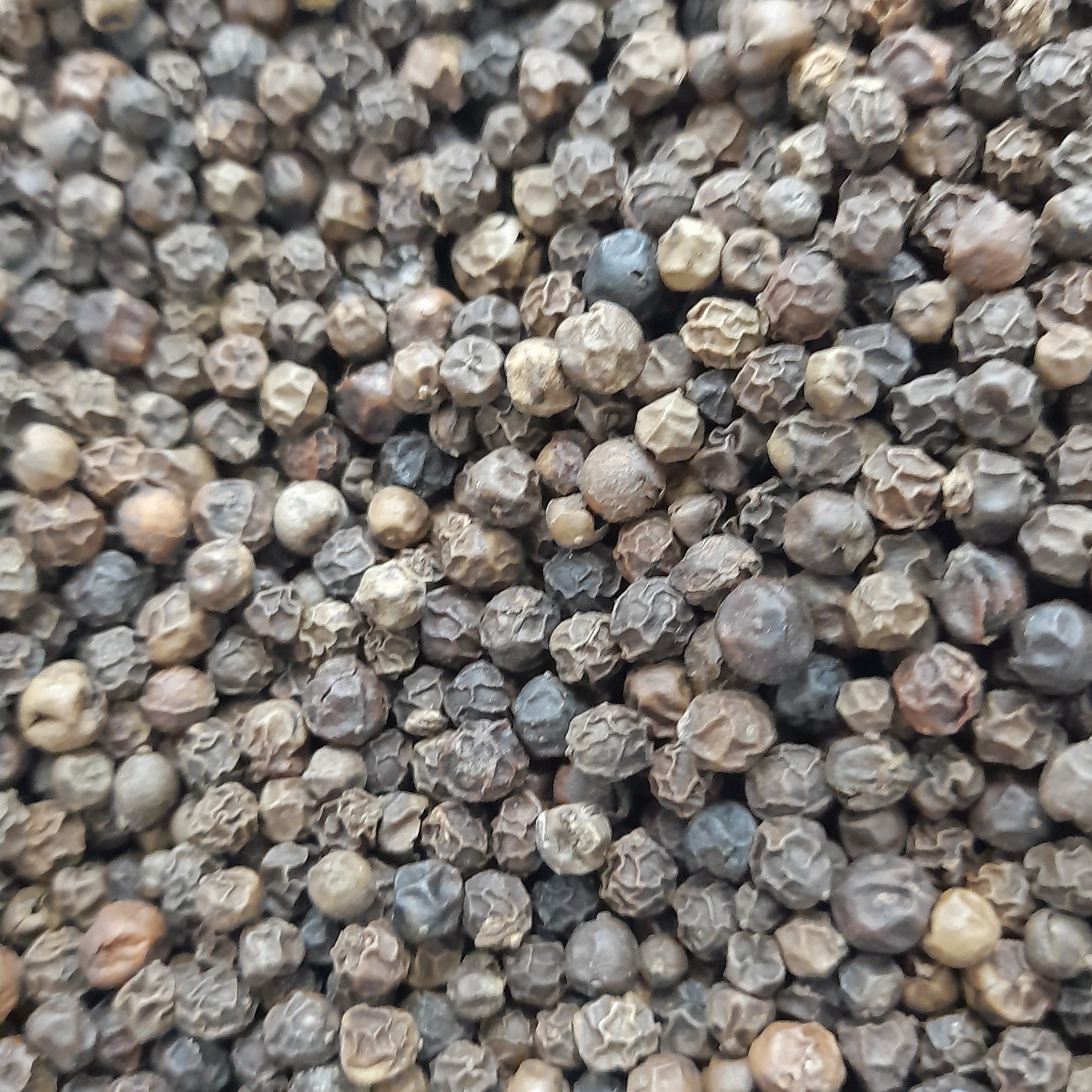 فلفل سیاه میل 5محصول ویتنام در بسته بندی های 100گرمی 