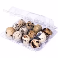 تخم بلدرچین پک 12 تایی ارسال از طریق باربری (پس کرایه)