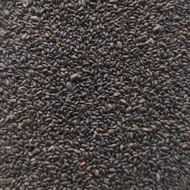 تخم شربتی ریز اصلی یک کیلویی