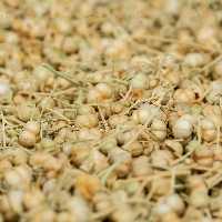 اسپند دانه بسته 200 گرمی