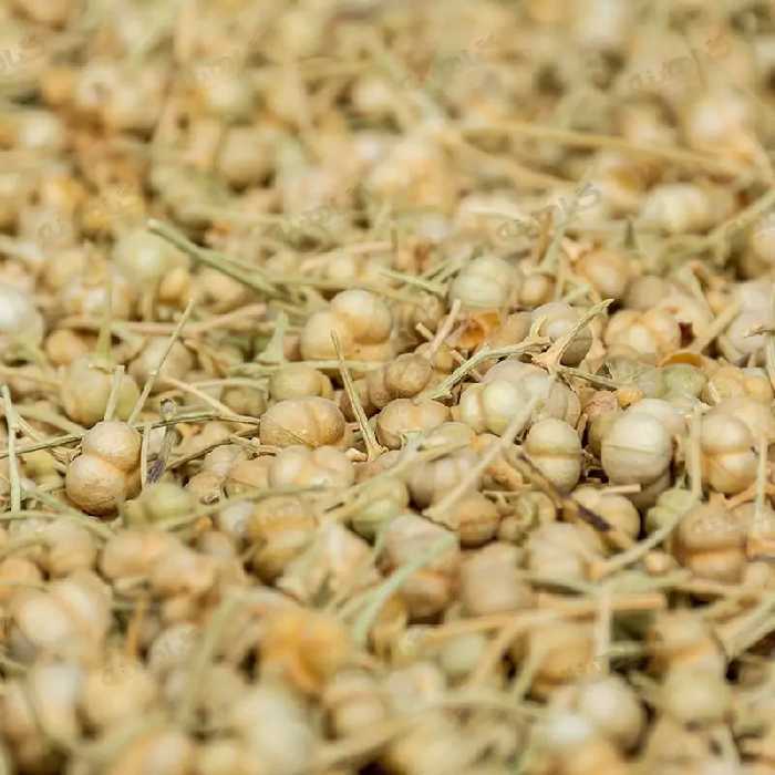 اسپند دانه بسته 200 گرمی