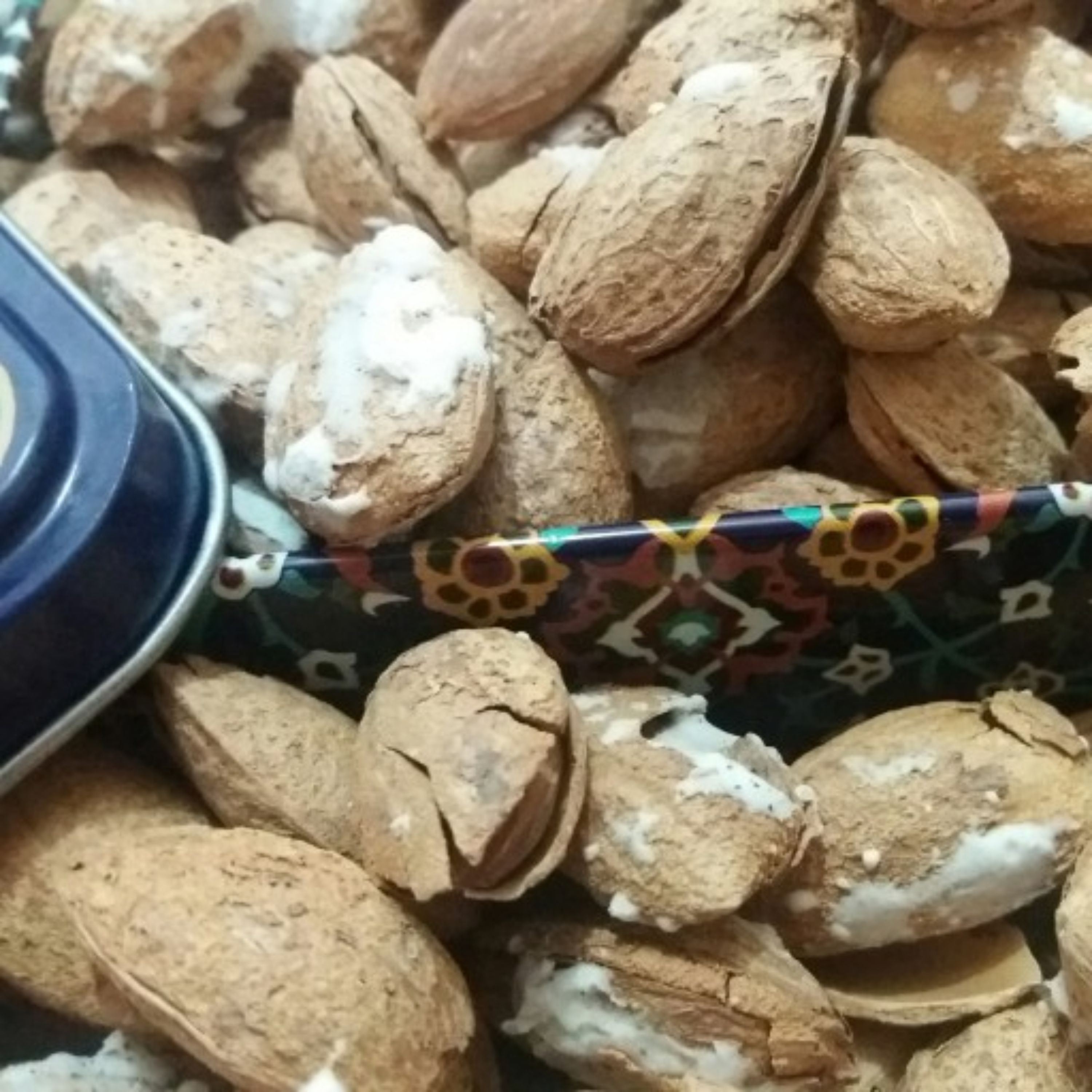 بادام پوست کاغذی یا منقا تازه و امسالی (500 گرمی)