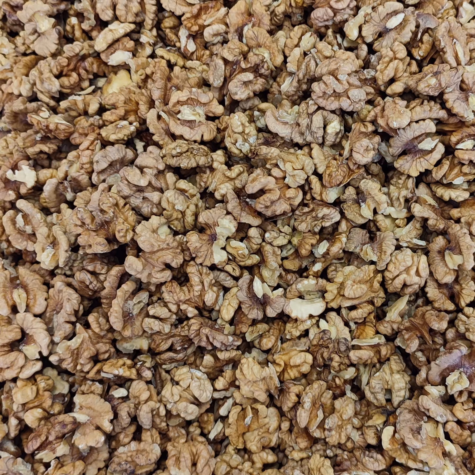 مغز گردوی اقتصادی تویسرکان،محصول 1402 با چربی و طعم مزه بی نظیر