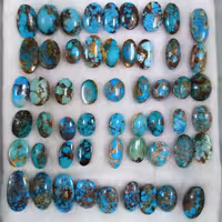 پک 54 عددی فیروزه شجر نیشابور کاملا طبیعی