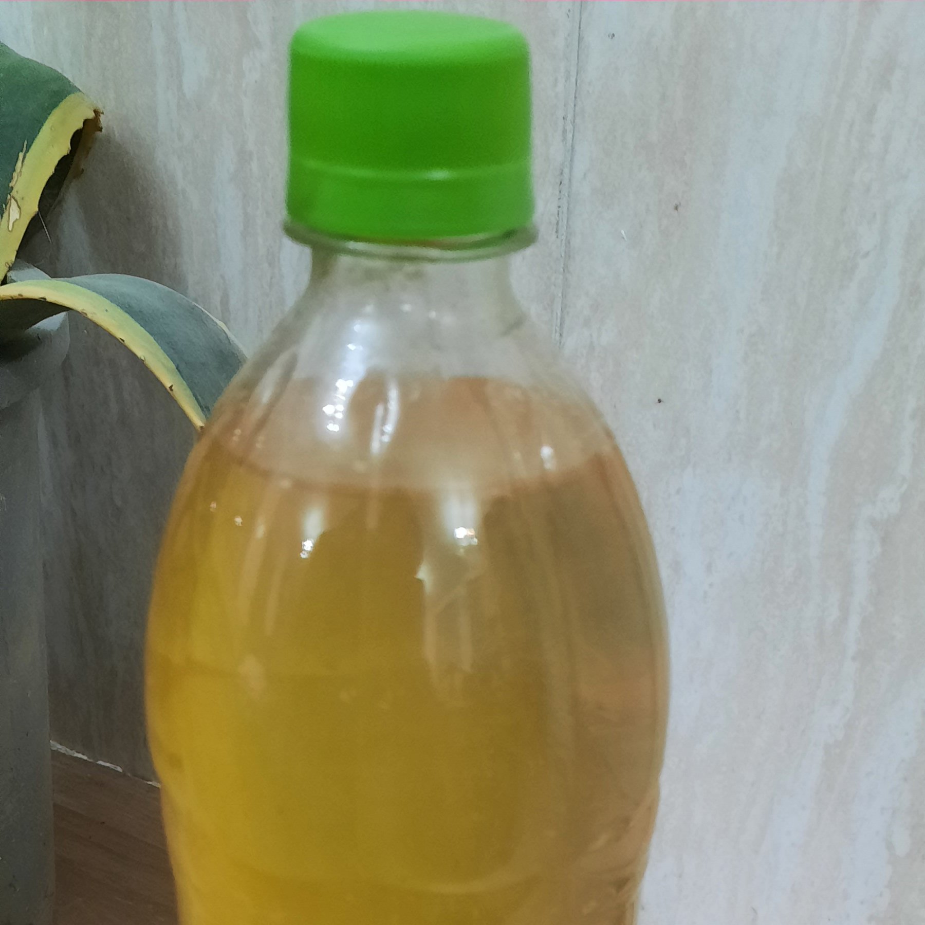 آبلیموی خانگی کاملا خالص و تازه و بهداشتی 1200 گرمی