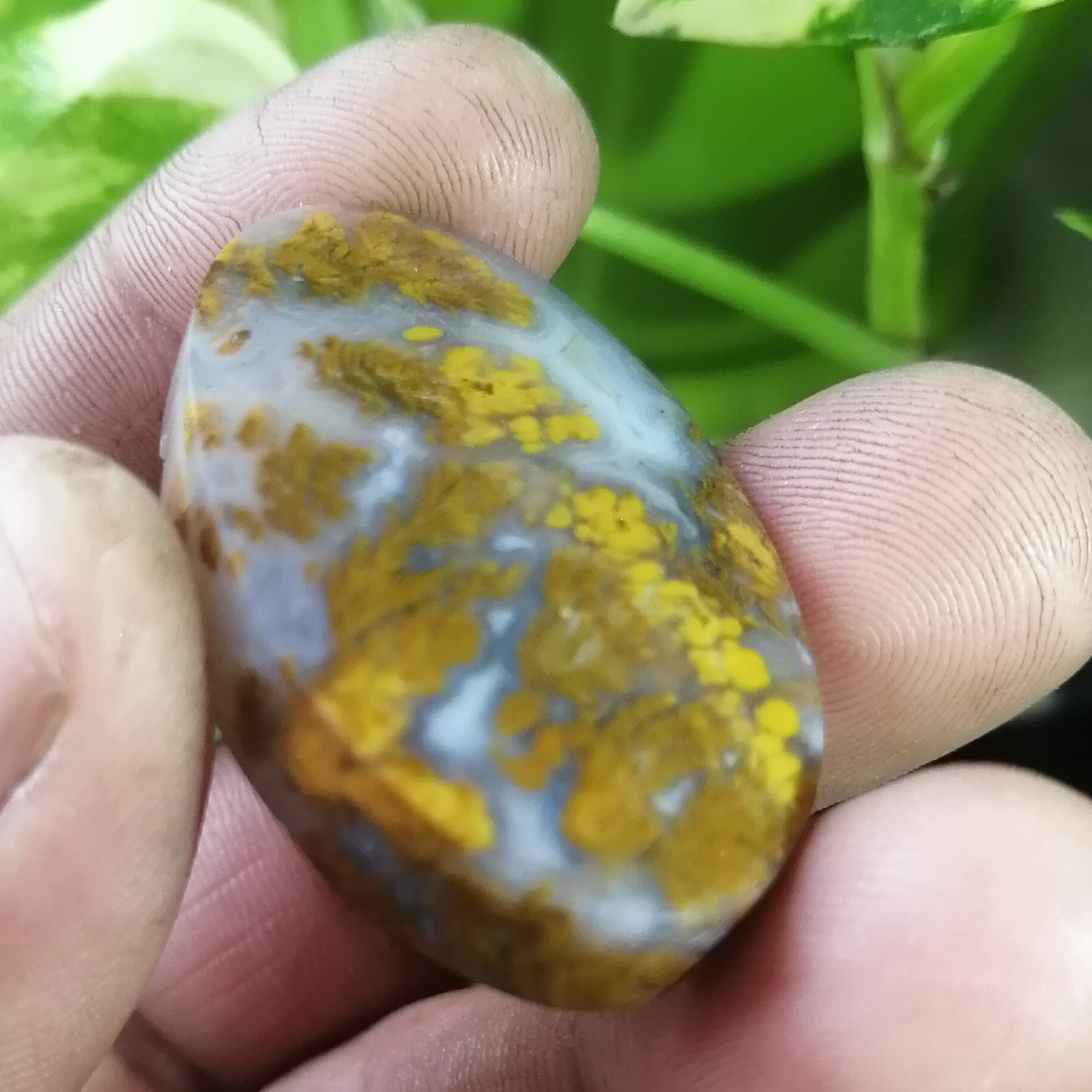 گردنبند عقیق شجر پاییزه کلکسیونی با رنگ خردلی خاص ومنظره بینظیر زیبا 