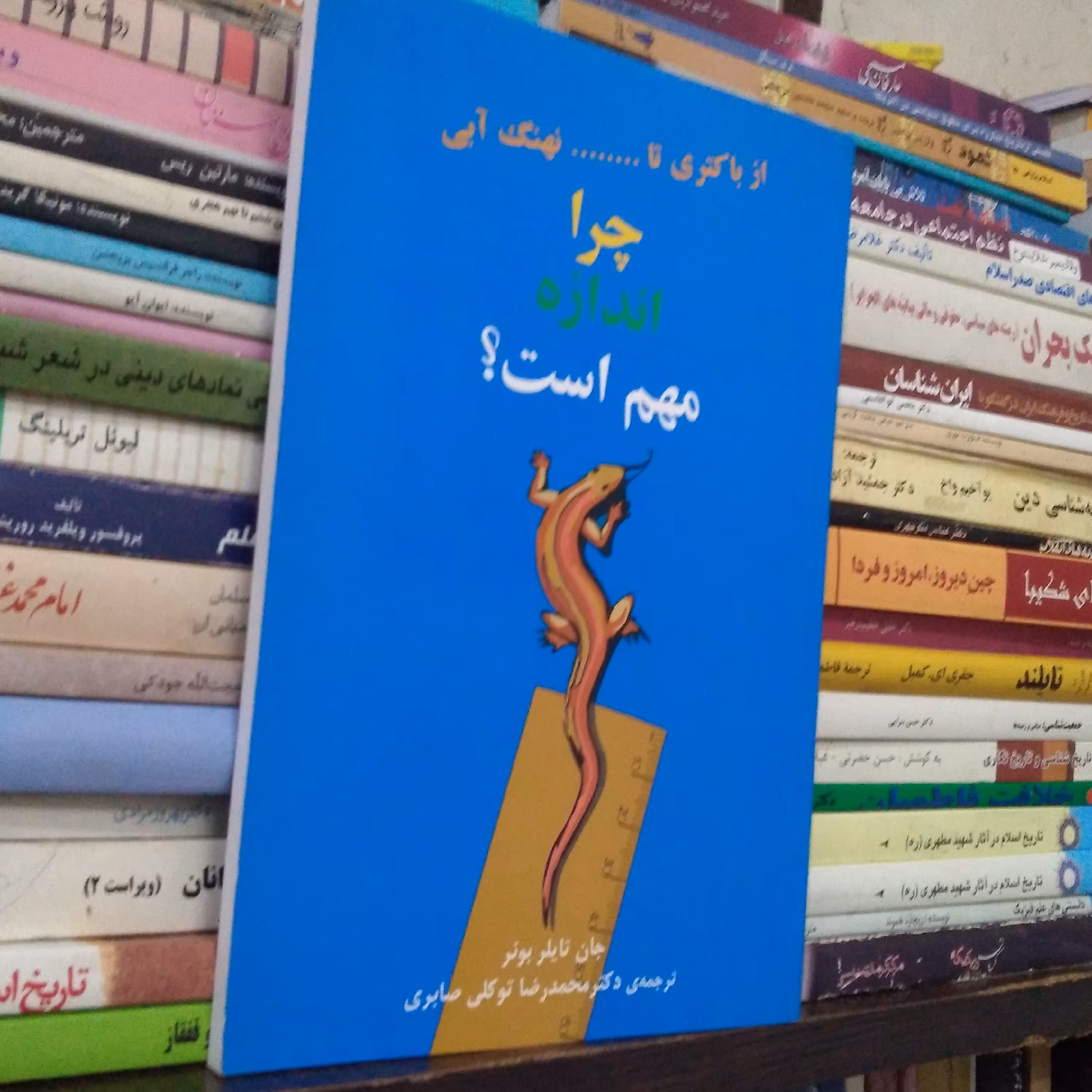 چرا  اندازه مهم است   از باکتری  تا ...... نهنگ آبی رنگ