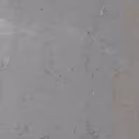 سنگ مرمریت دهبید انگورک (کفی 30 در 60) - ارسال با باربری و پس کرایه