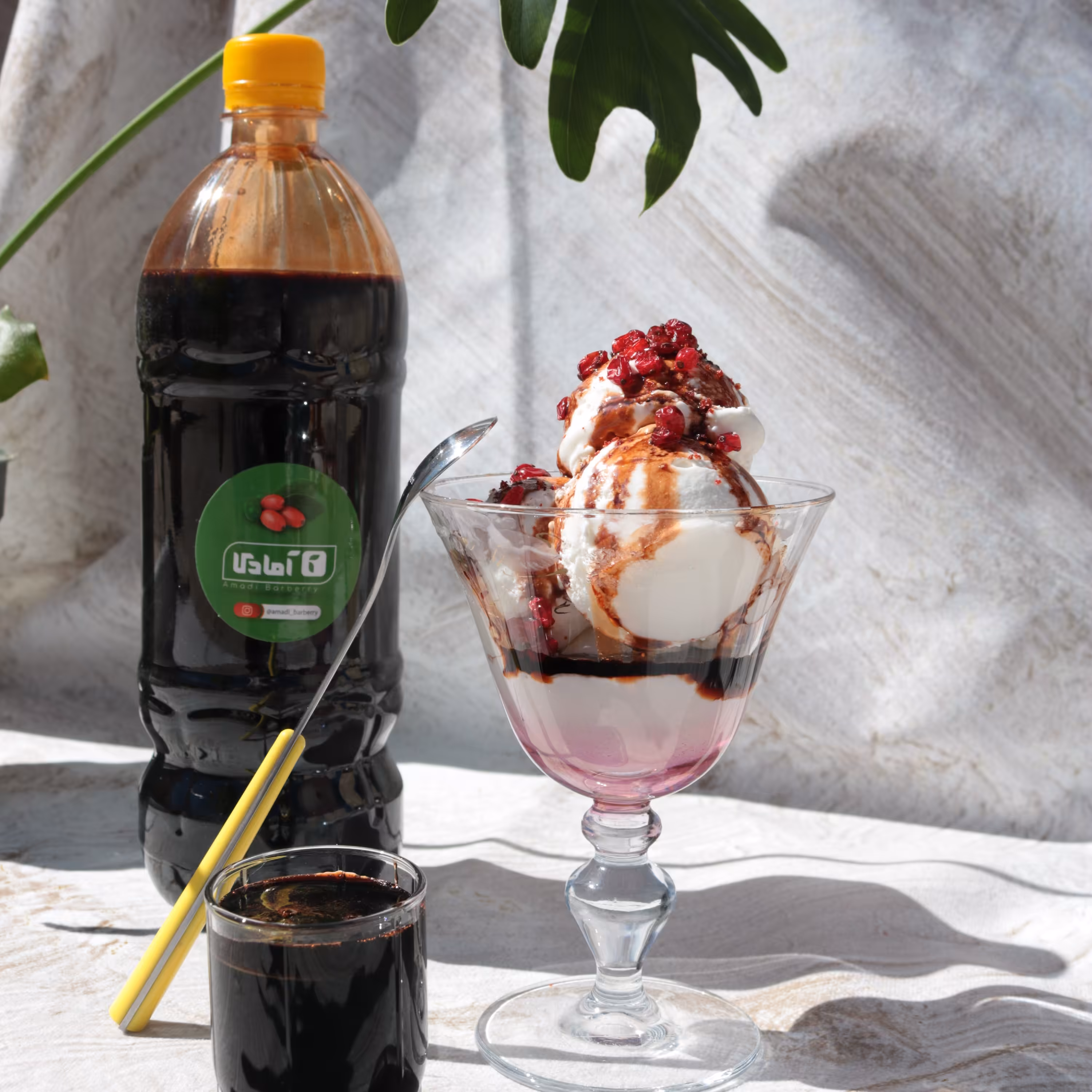 آب زرشک تغلیظ شده 1.3کیلویی 