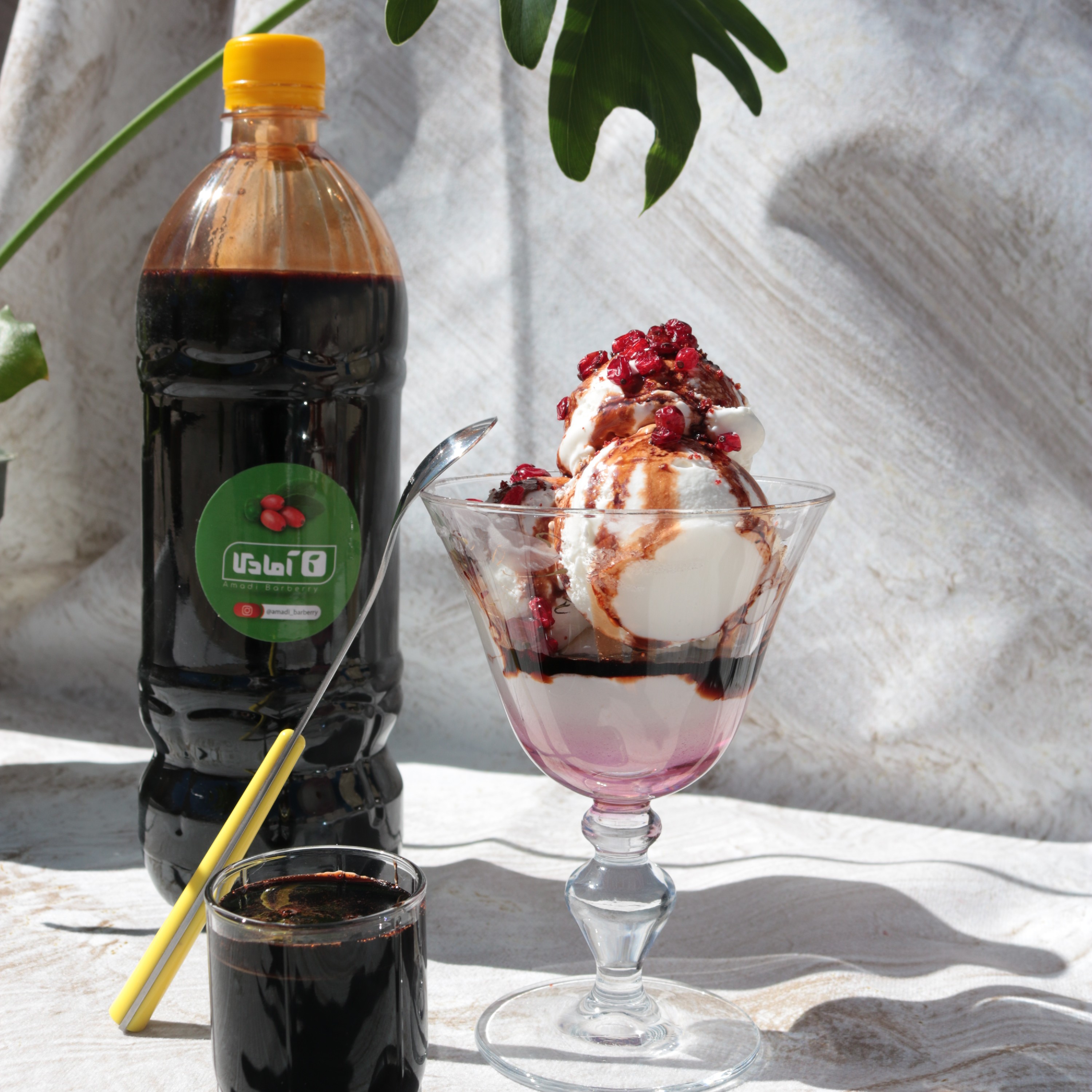 آب زرشک تغلیظ شده 1.3کیلویی 