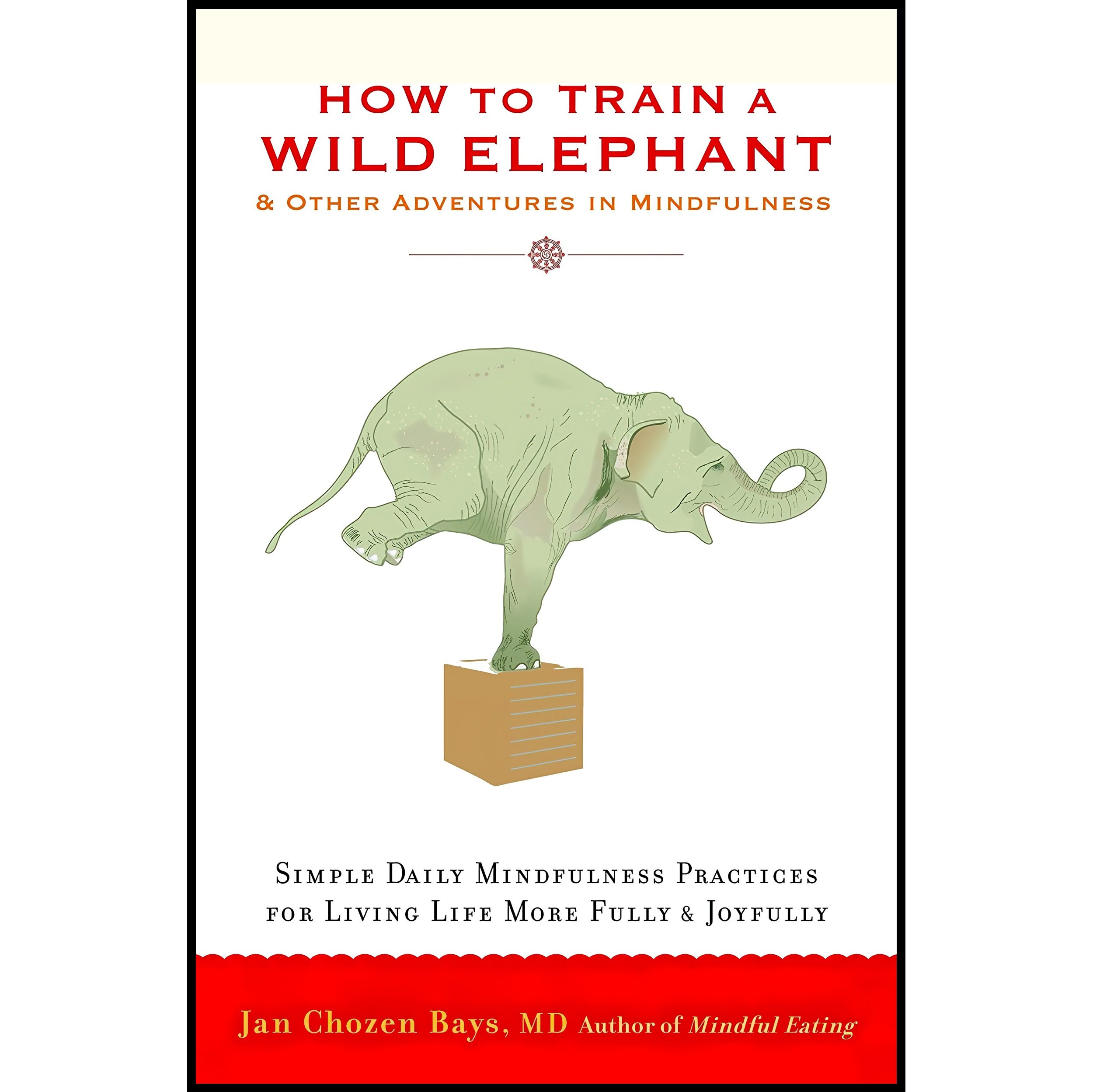 کتاب زبان اصلی How to Train a Wild Elephant اثر Jan Chozen Bays