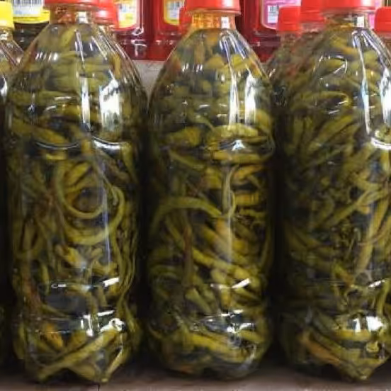 فلفل تند سوزنی 