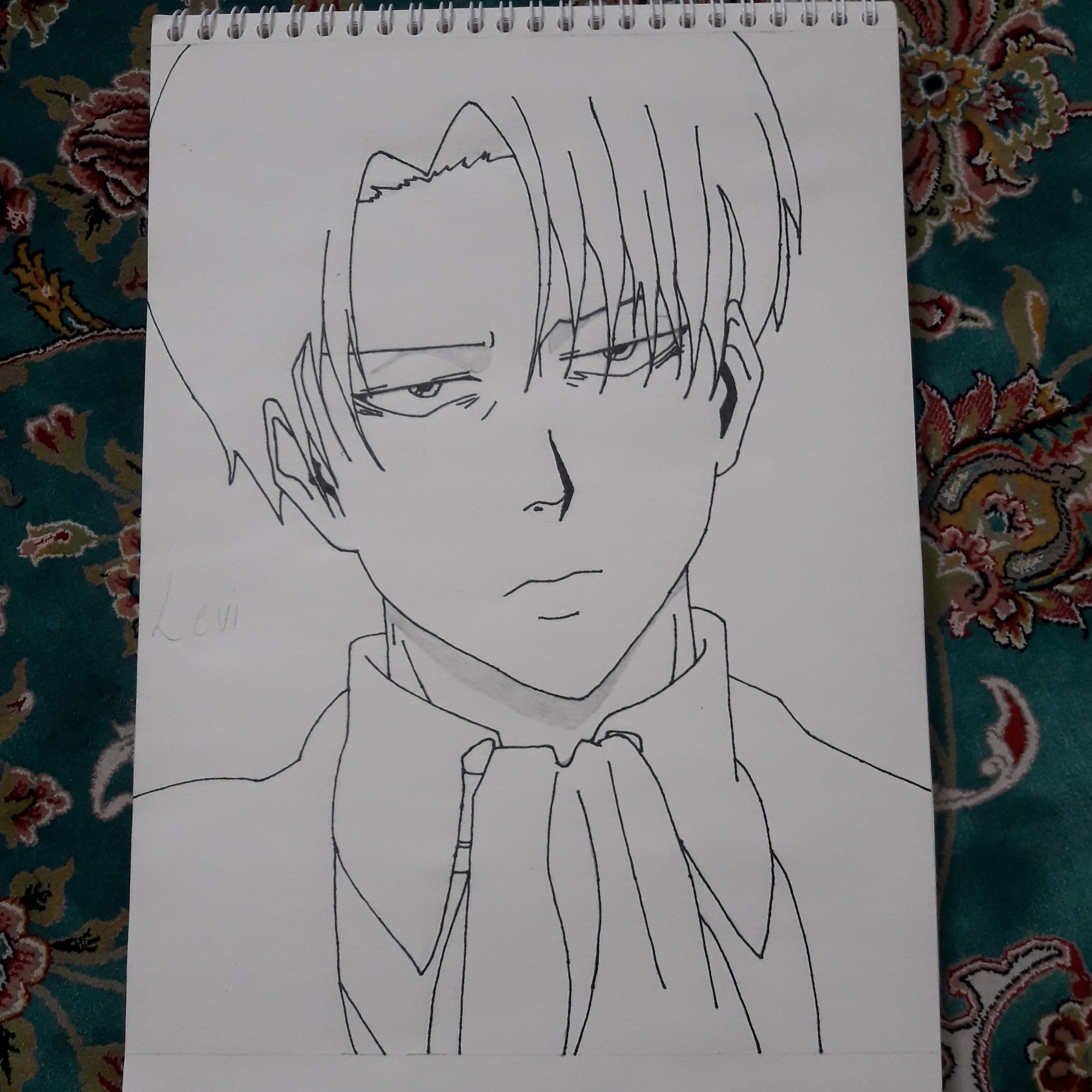 نقاشی از لیوای اکرمن