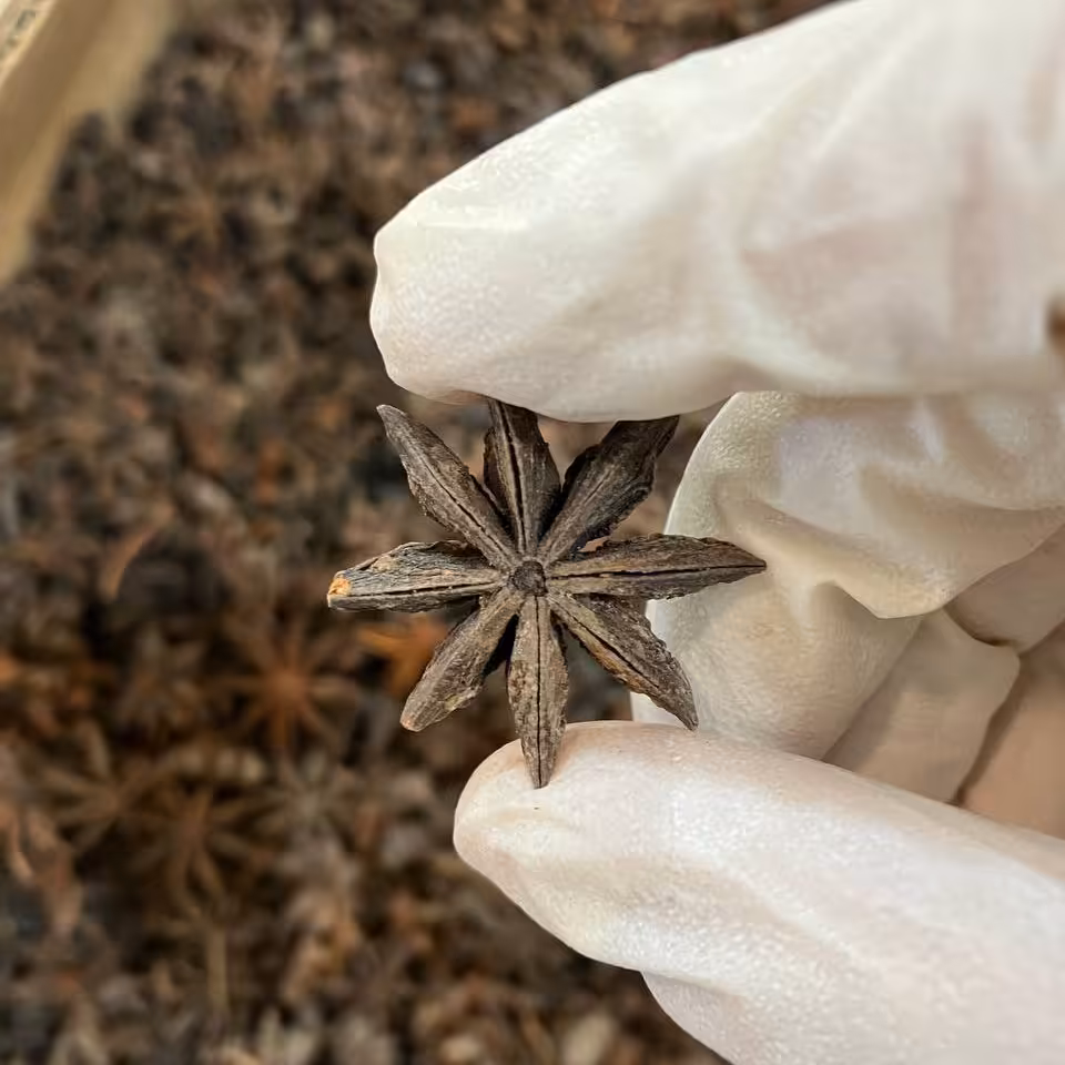 بادیون ستاره ای یک کیلوگرم