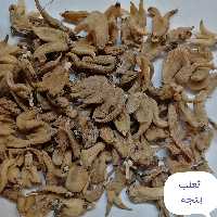 ثعلب پنجه ای تمیز امسالی 50 گرمی 