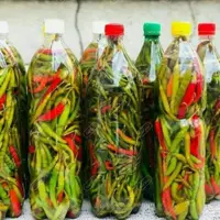 ترشی فلفل سبز و قرمز 700گ
