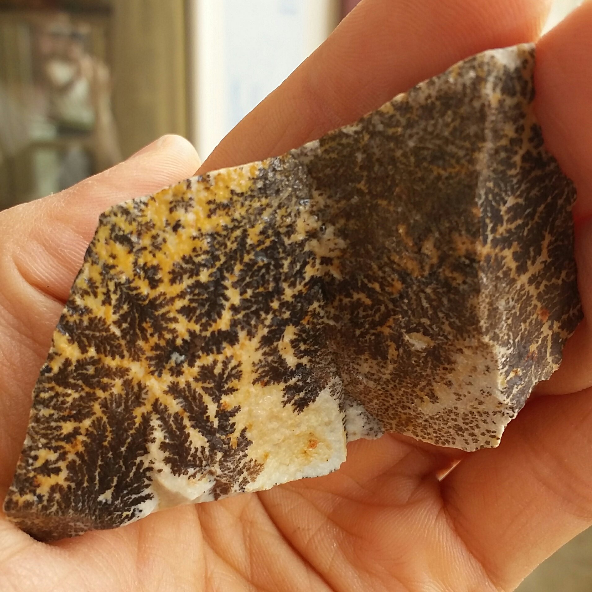 سنگ راف 100 در 100 طبیعی شجر دندریتی یا فسیلی محشششر خاص شاهکار خلقت
شجر واضح خاااااااااص
چند طرفه